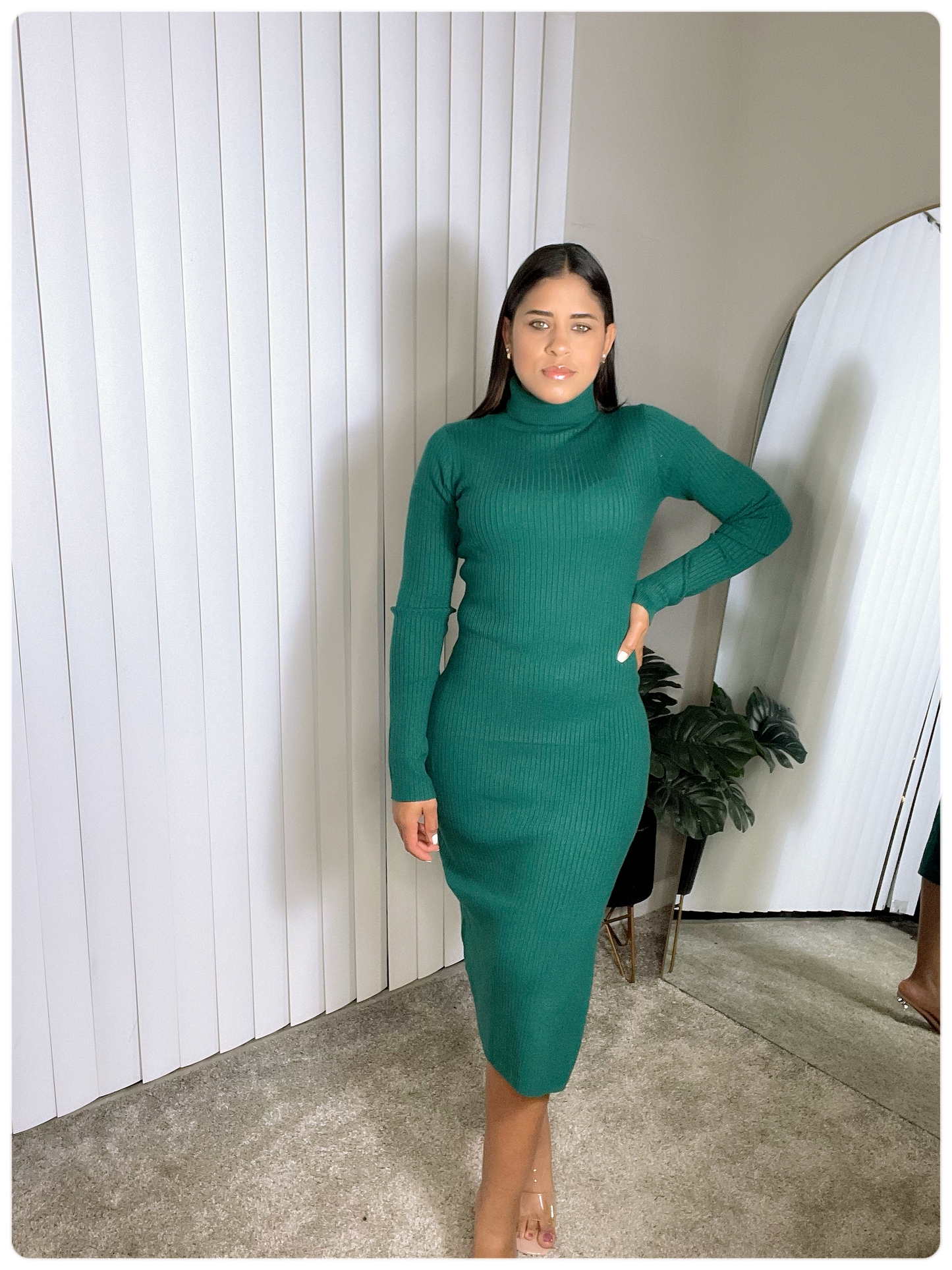 Turtle Dress
