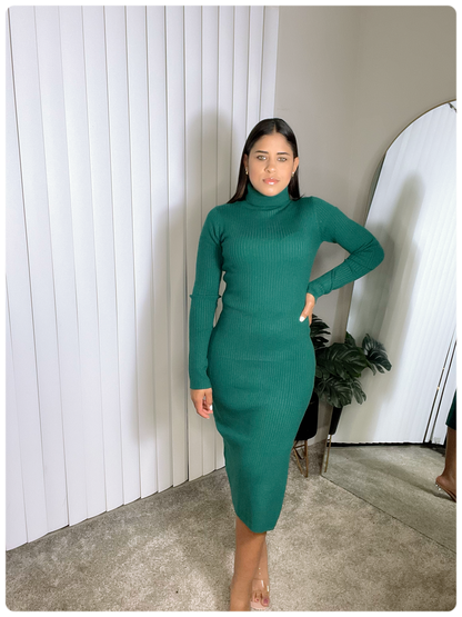 Turtle Dress