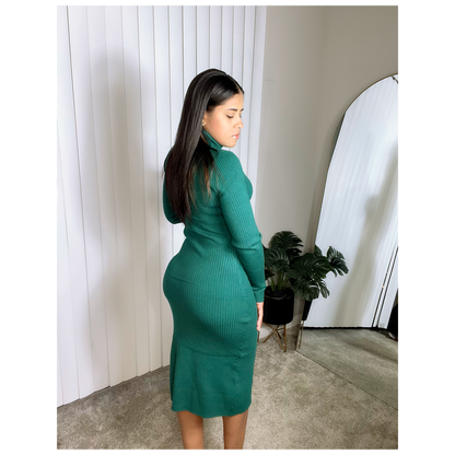 Turtle Dress